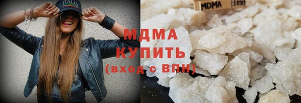 прущие грибы Бородино