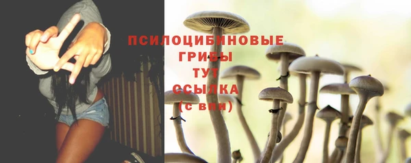 прущие грибы Бородино