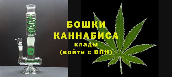прущие грибы Бородино