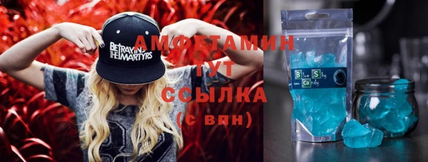 прущие грибы Бородино
