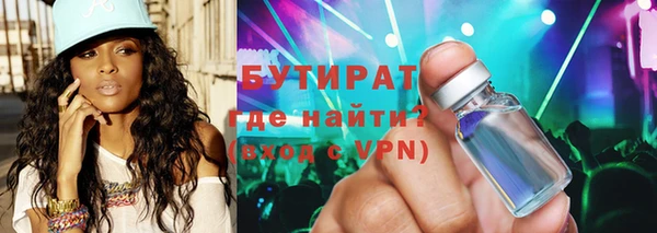 прущие грибы Бородино