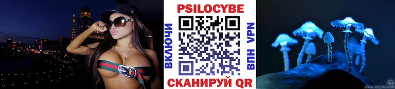 shop наркотические препараты дарнет шоп Волгореченск Галлюциногенные грибы Psilocybe